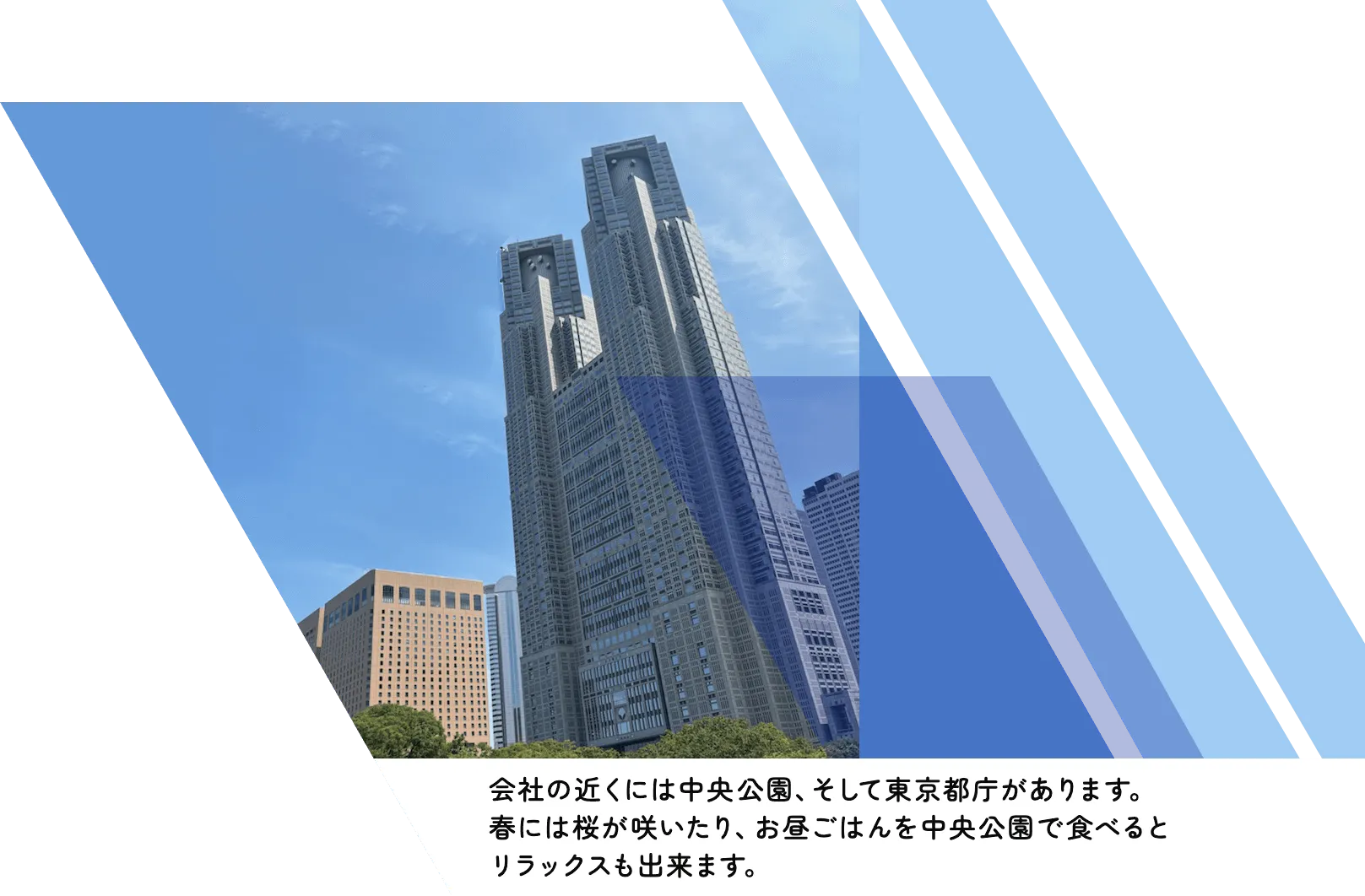 株式会社RayArc（レイアーク）